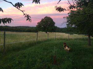 0874cec8-d796-4793-ba0b-1c669bd2c601