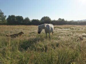 A9A0A047-BE26-45CE-8922-6B52CA56C0E6(1)