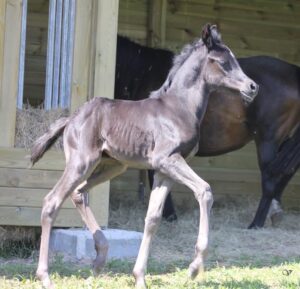 F7B65F9C-0F1B-4D6B-8CC2-CD563193FE6F1-1