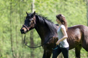 UNADJUSTEDNONRAW_thumb_17d7-1