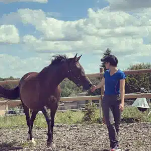 DA9B60FB-7727-4295-918B-FE120E4FC40B